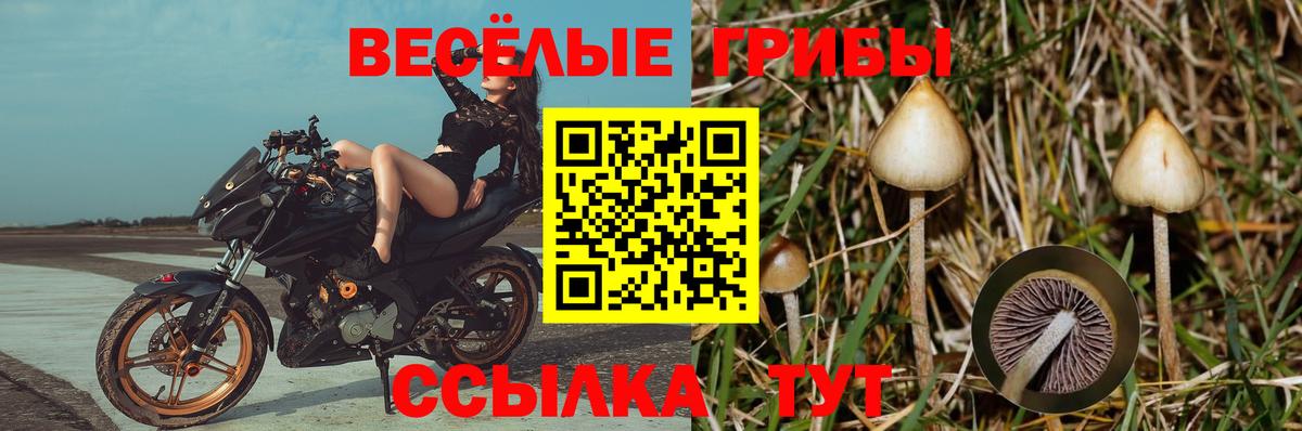 Галлюциногенные грибы Magic Shrooms Апатиты