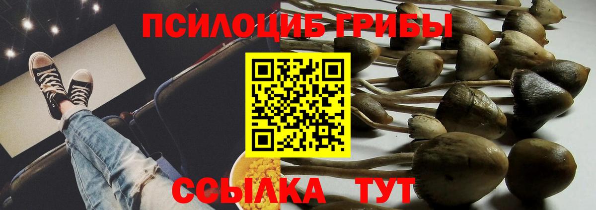 Апатиты  магазин продажи   Галлюциногенные грибы Cubensis  Вход с VPN  Псилоцибиновые грибы мицелий 